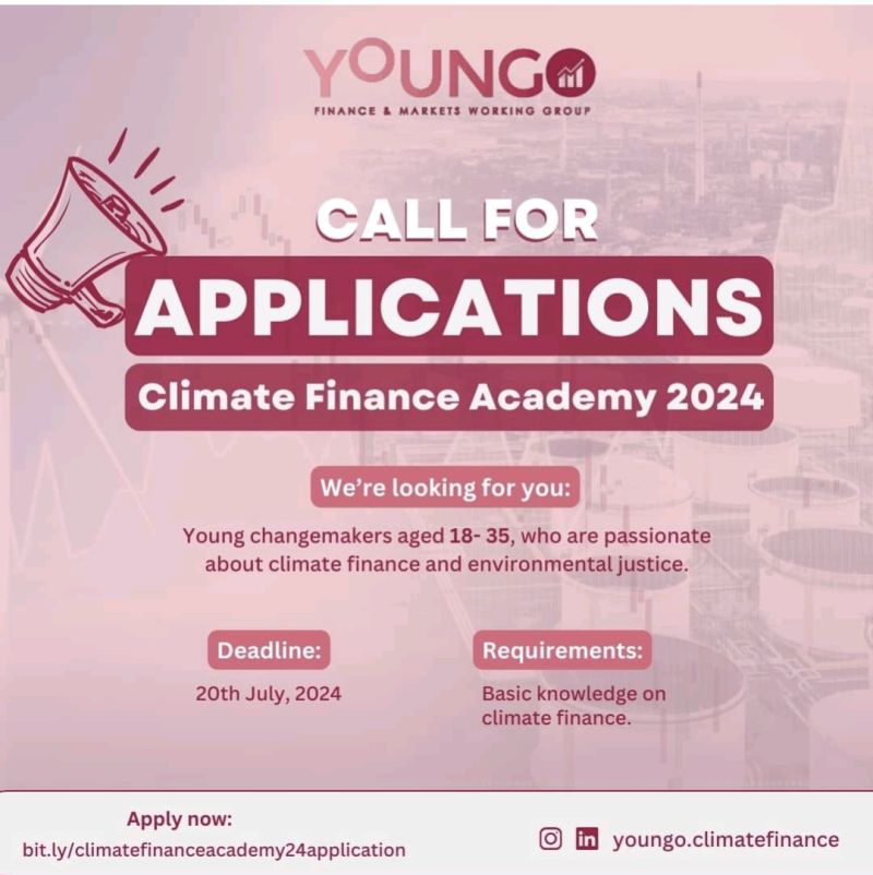 Les candidatures pour la YOUNGO Climate Finance Academy 2024 sont maintenant ouverte Entierement finance