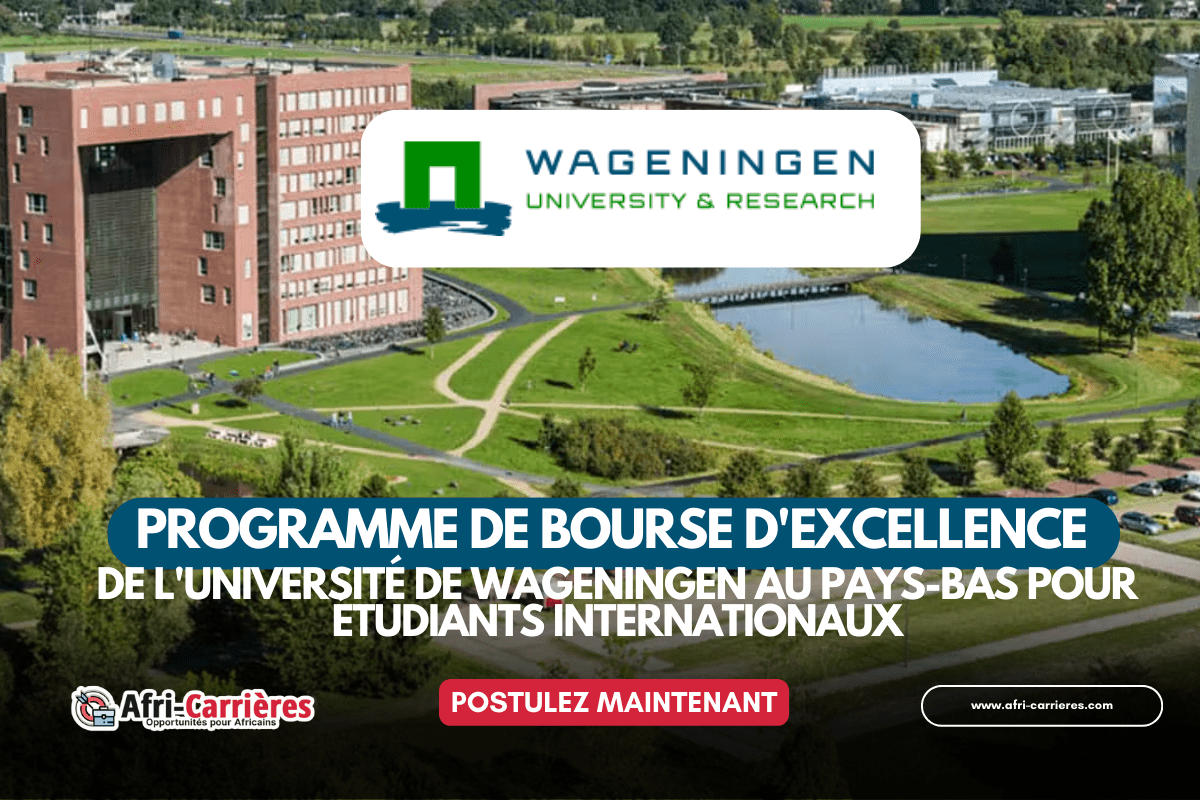 Programme dexcellence de Master 2025 au Pays Bas
