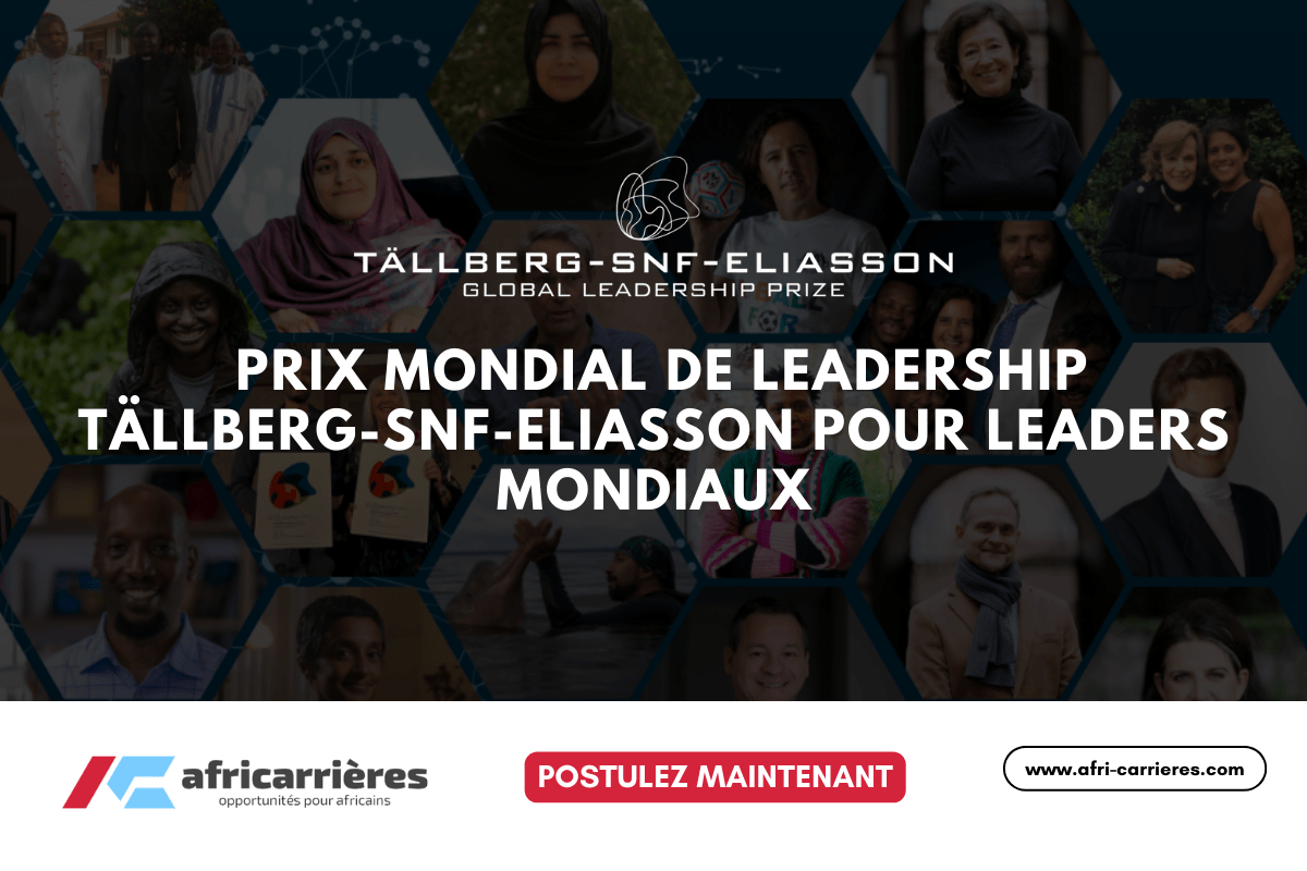 Programme de bourses DAAD pour etudiants des pays africains