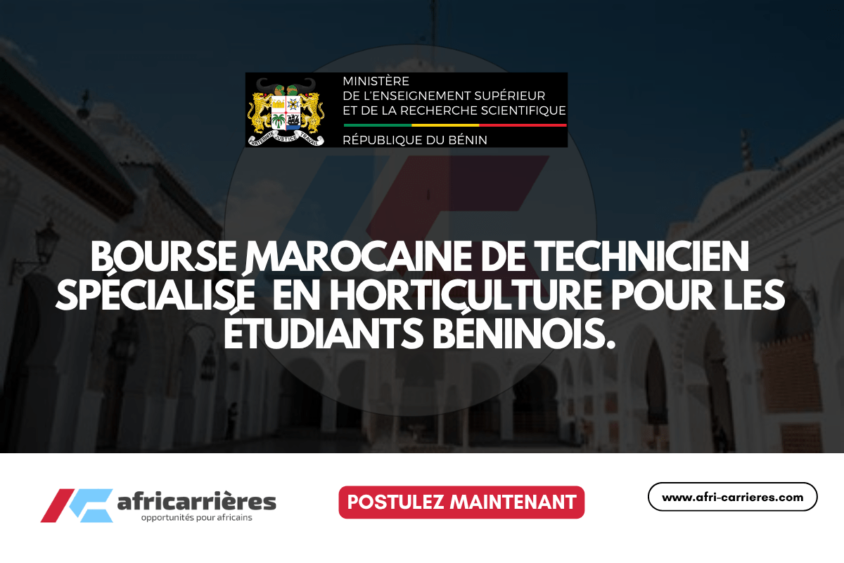 Programme de bourses DAAD pour etudiants des pays africains 24