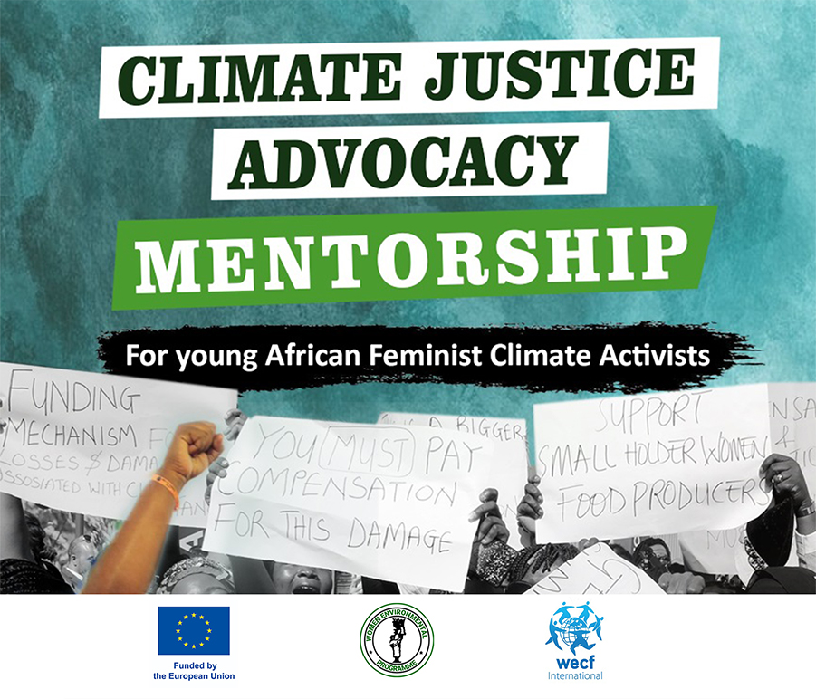 Programme des femmes pour lenvironnement