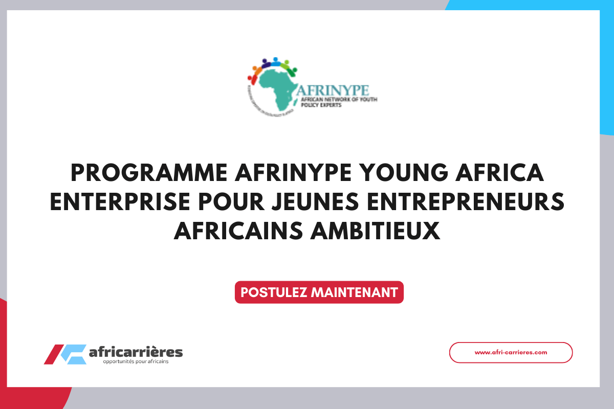 Programme AFRINYPE Young Africa Enterprise pour jeunes entrepreneurs Africains