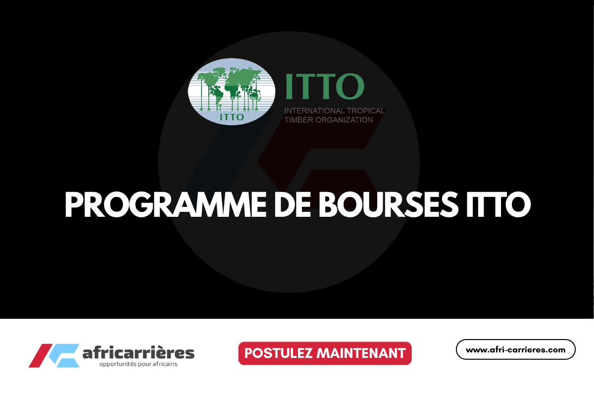 Programme de bourses ITTO 2026 Jusqua 10 000 USD pour la gestion durable des forets tropicales