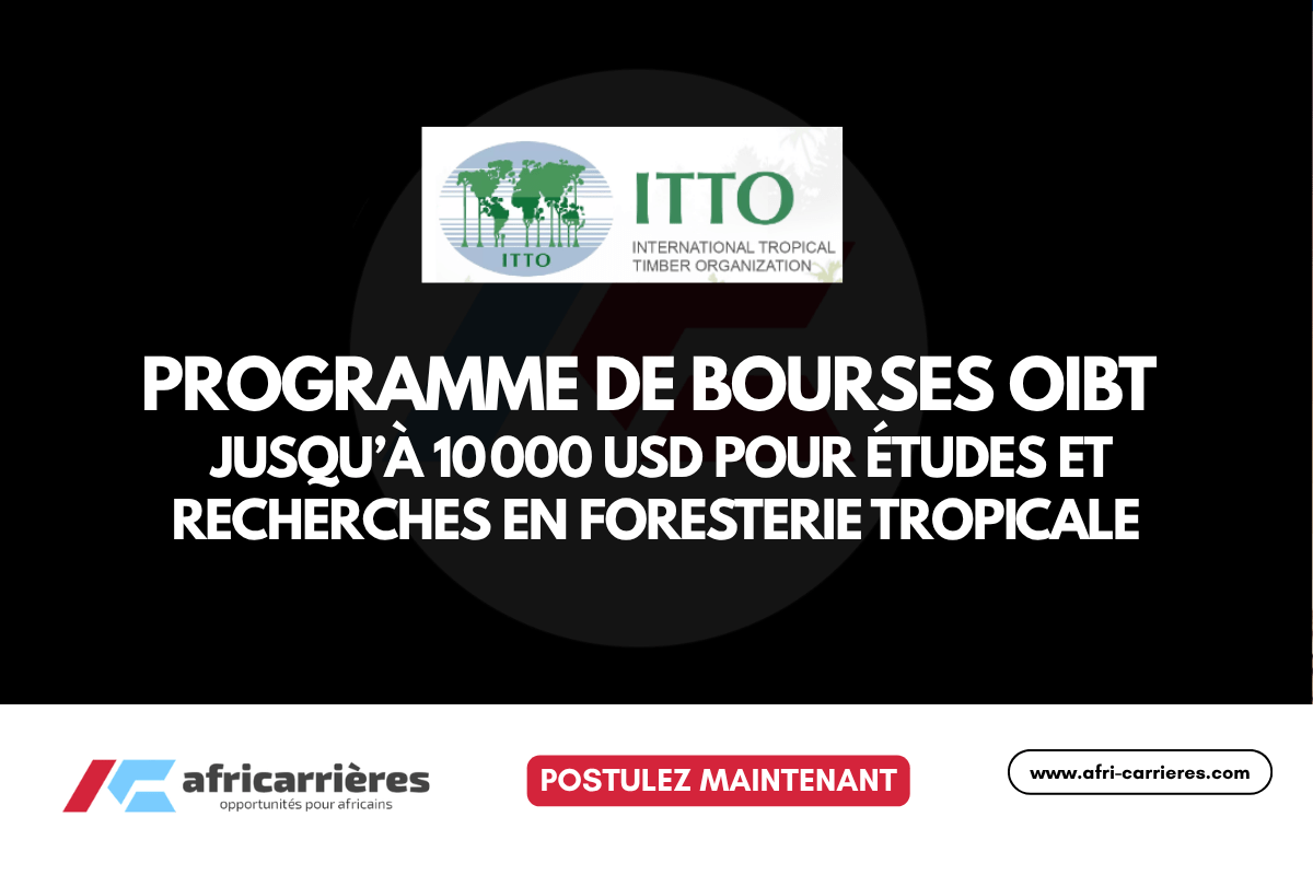Programme de bourses OIBT 2026 Jusqua 10 000 USD pour etudes et recherches en foresterie tropicale