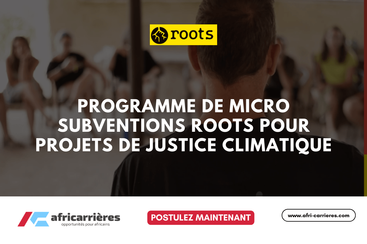 Programme de bourses DAAD pour etudiants des pays africains 7
