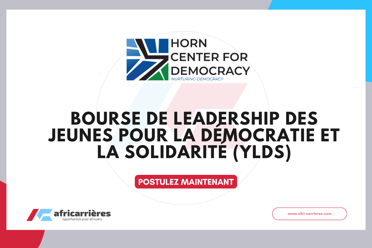 Youth Leadership for Democracy and Solidarity Scholarship Programme 2026 Ethiopie