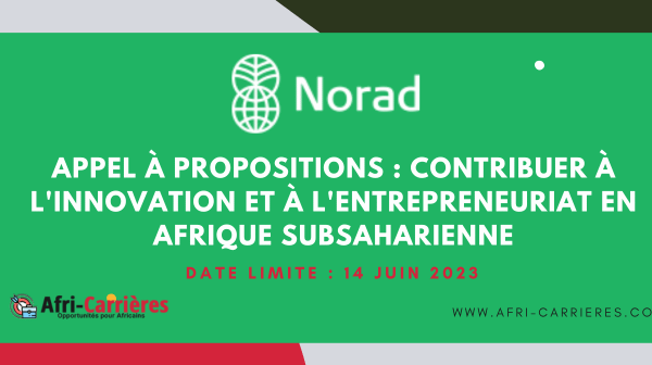 Appel a propositions Contribuer a linnovation et a lentrepreneuriat en Afrique subsaharienne 1