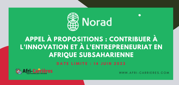 Appel a propositions Contribuer a linnovation et a lentrepreneuriat en Afrique subsaharienne