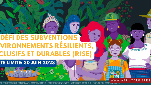 Le defi des subventions Environnements Resilients Inclusifs et Durables RISE 1