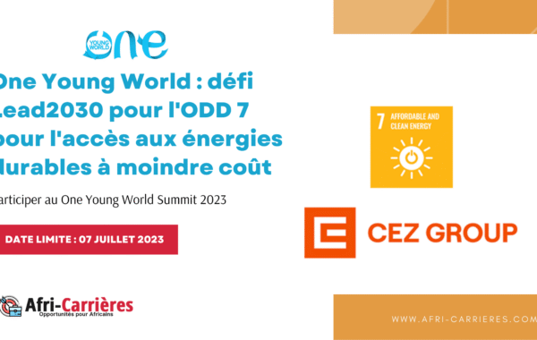 One Young World defi Lead2030 pour lODD 7 pour lacces aux energies durables a moindre cout 1