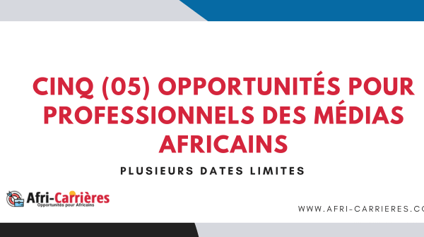 Cinq 05 opportunites pour professionnels des medias africains 1