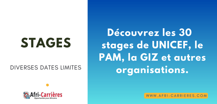 Decouvrez les 30 stages de UNICEF le PAM la GIZ et autres organisations