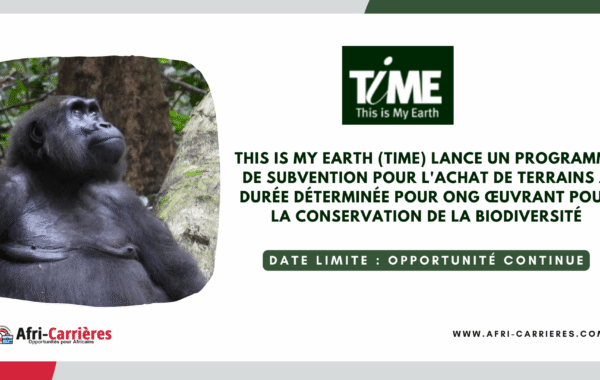 Subventions This is My Earth pour ONG 1