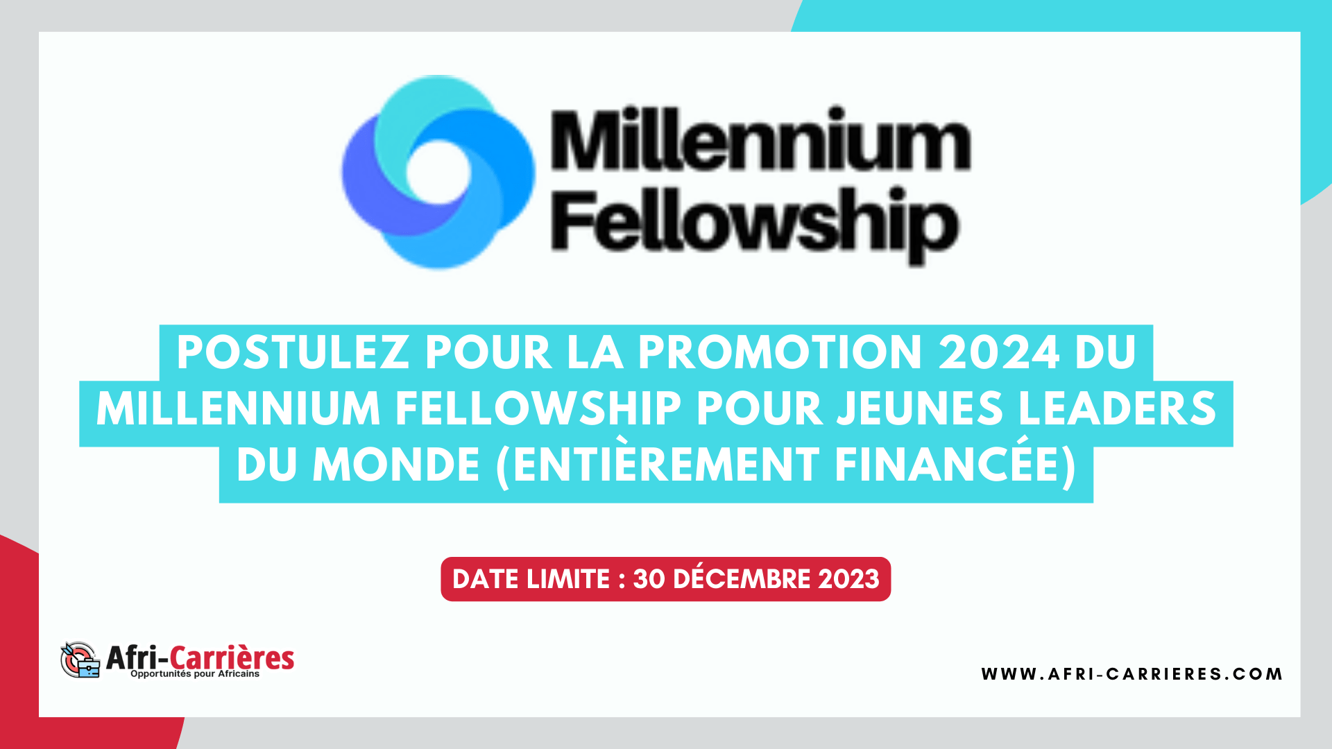 programme Millennium Fellowship
