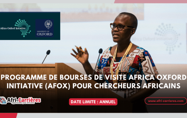 Programme de bourses de visite Africa Oxford Initiative 1