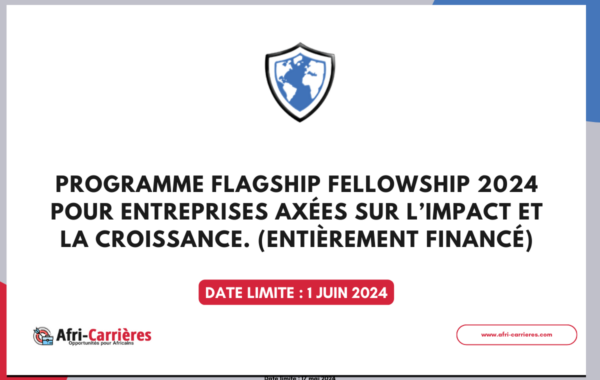 Programme Flagship Fellowship