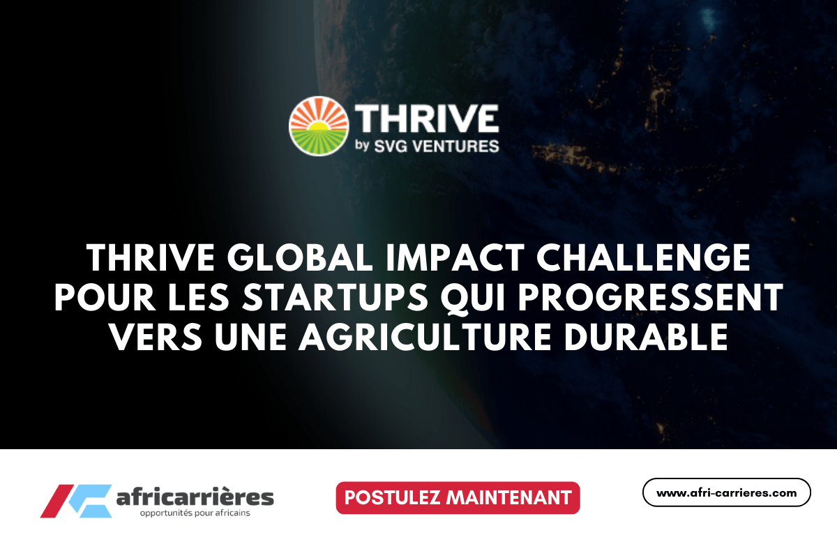 Programme de bourses DAAD pour etudiants des pays africains 58