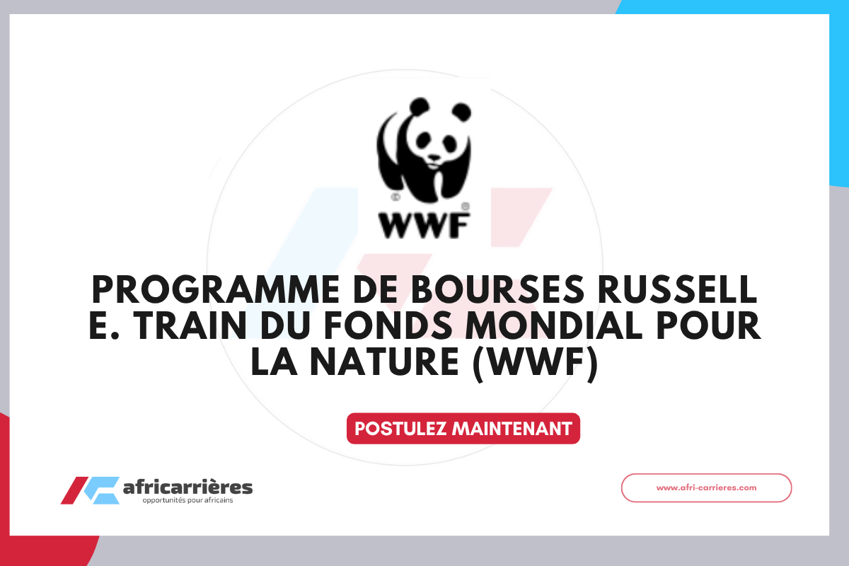 Programme dIncubation Greenpreneur du projet GENIE en Cote dIvoire 22