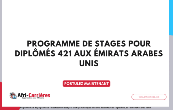 Programme de stages pour diplomes 421 aux Emirats arabes unis 1