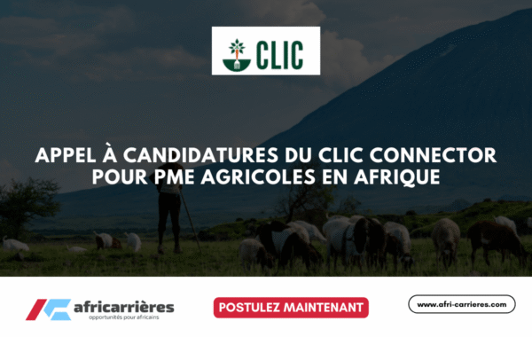 Programme de bourses DAAD pour etudiants des pays africains 22