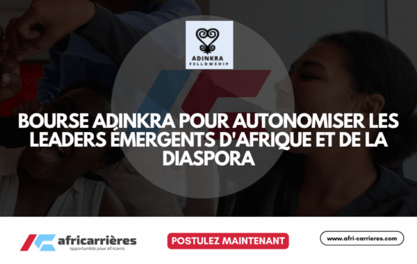 Programme de bourses DAAD pour etudiants des pays africains 90