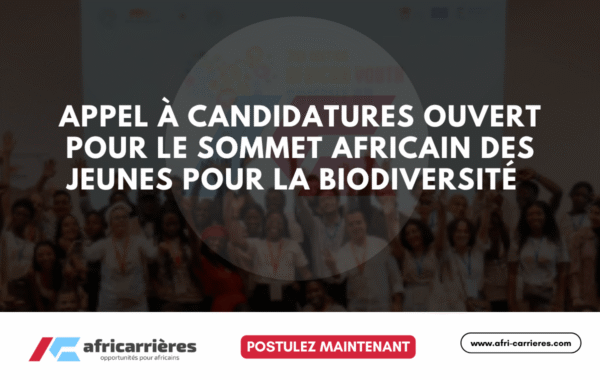 Programme de bourses DAAD pour etudiants des pays africains 30