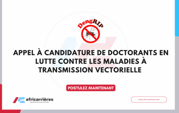 Programme de bourses DAAD pour etudiants des pays africains 33