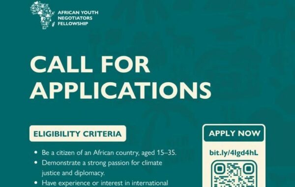 Appel a candidature Africa Youth Negotiators Fellowship AYNF 2025