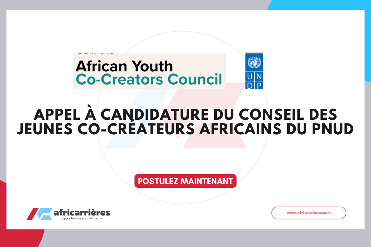 African Youth Co Creators Council 2026 du PNUD
