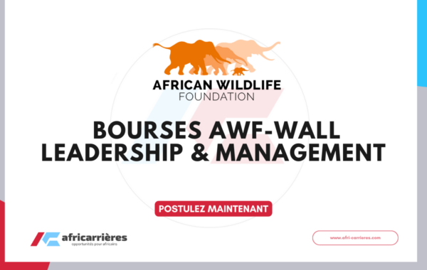 AWF Wall Leadership Management Fellowship 2026