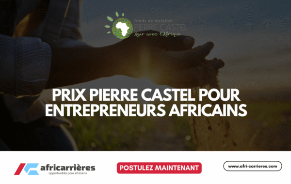 Programme de bourses DAAD pour etudiants des pays africains 59