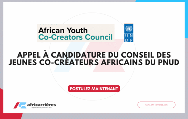 African Youth Co Creators Council 2026 du PNUD