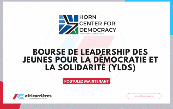 Youth Leadership for Democracy and Solidarity Scholarship Programme 2026 Ethiopie